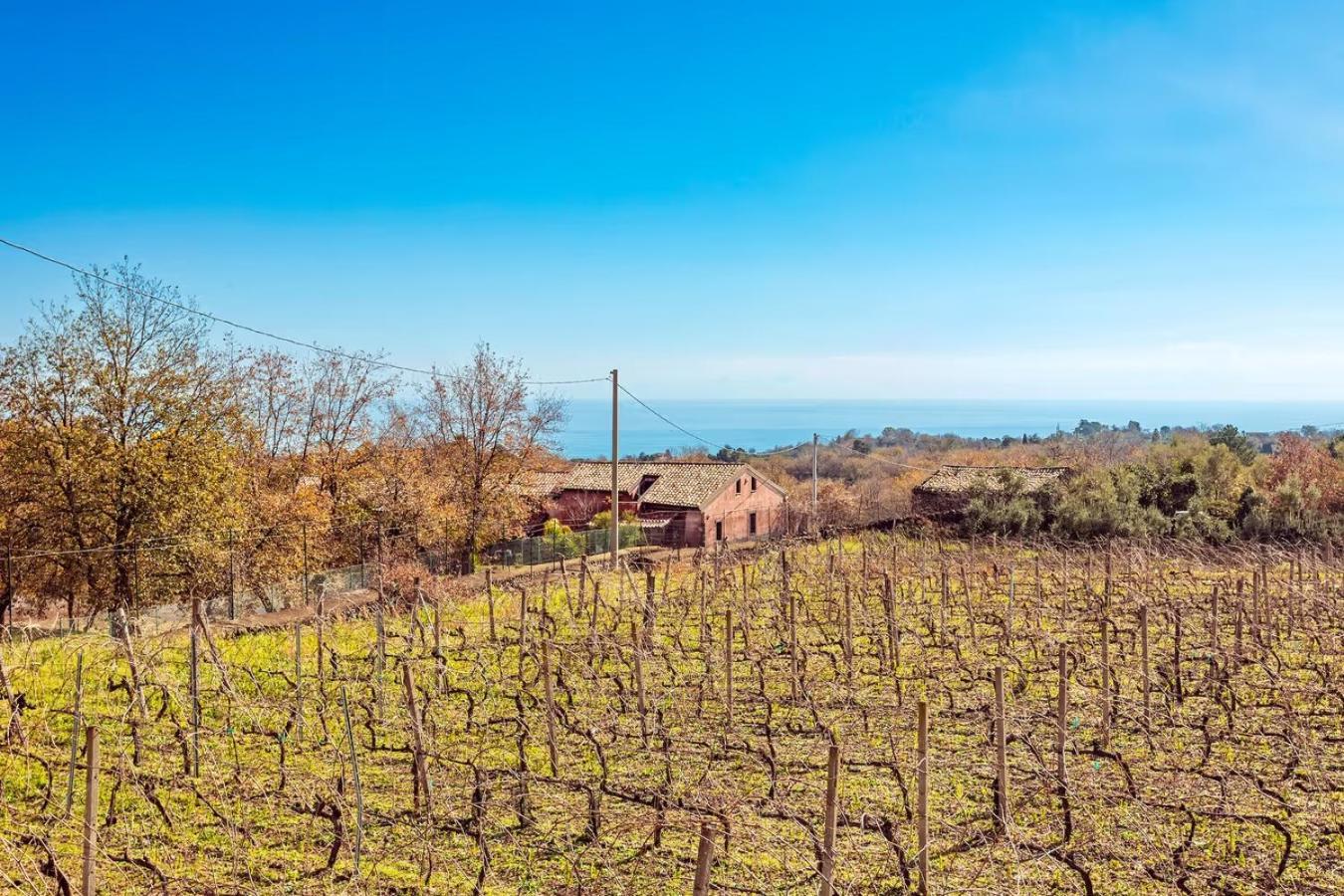 Camia Etna House Διαμέρισμα Piedimonte Etneo Εξωτερικό φωτογραφία